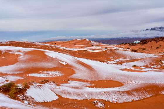 Neige dans le désert algérien